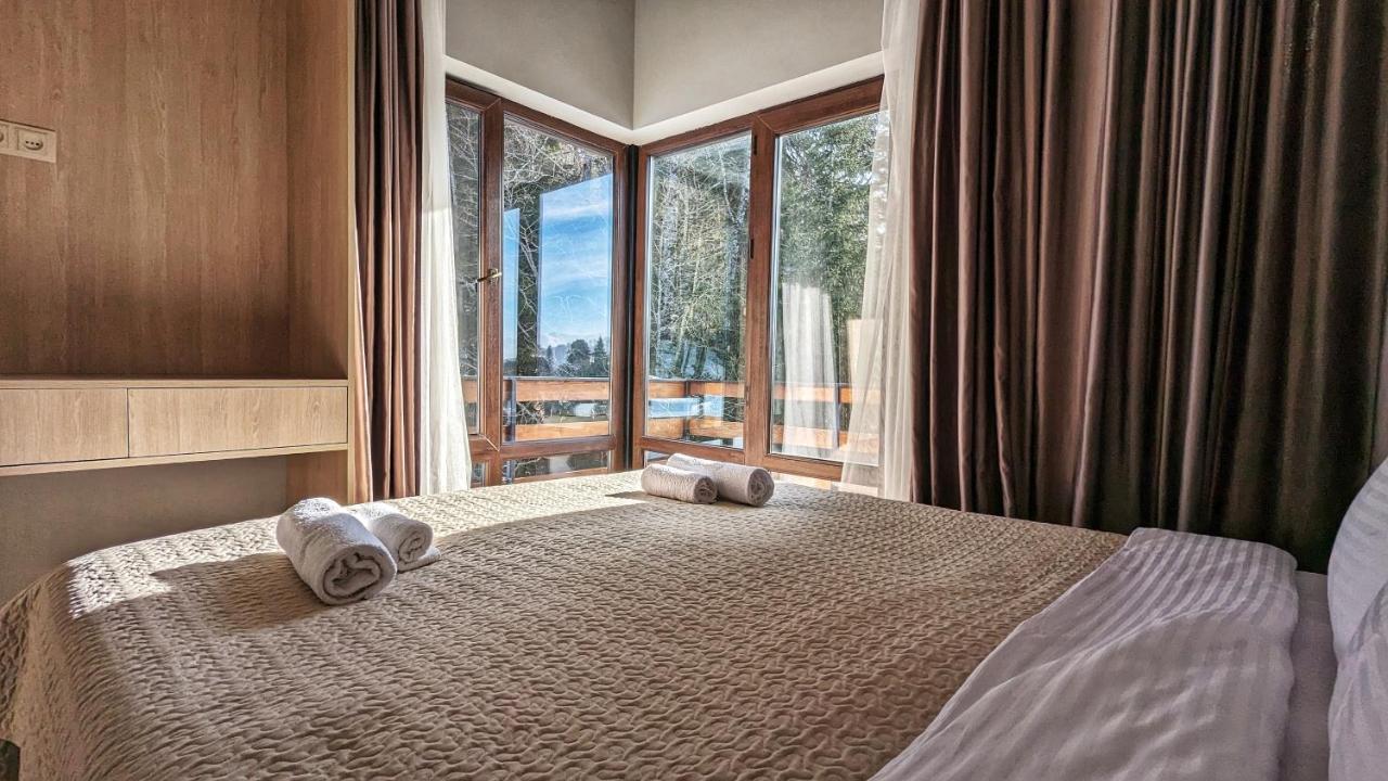 7 In Chalet Bakuriani